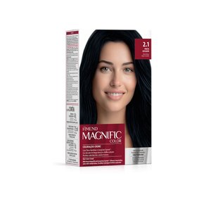 d 2025 01 29t170809 418