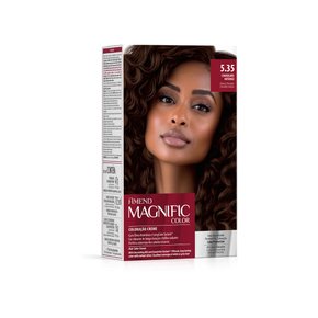 d 2025 01 29t173803 410