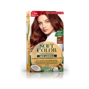 d 2025 01 30t152453 589